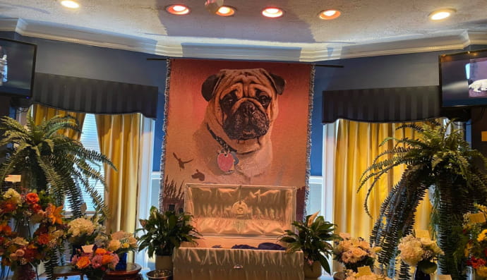 Похороны собаки