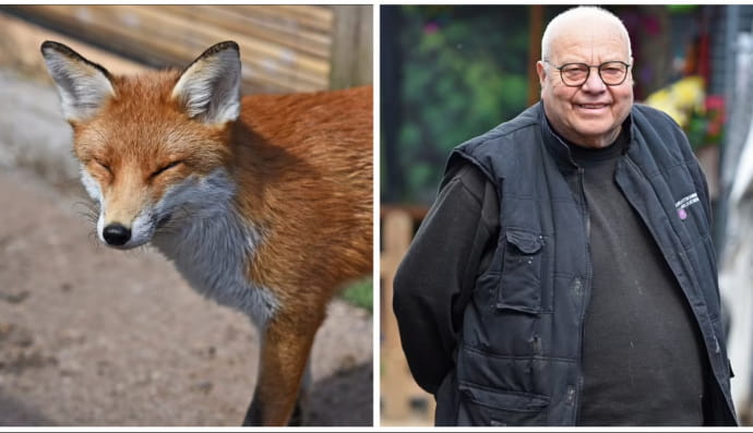 Джефф Грюкок и лиса