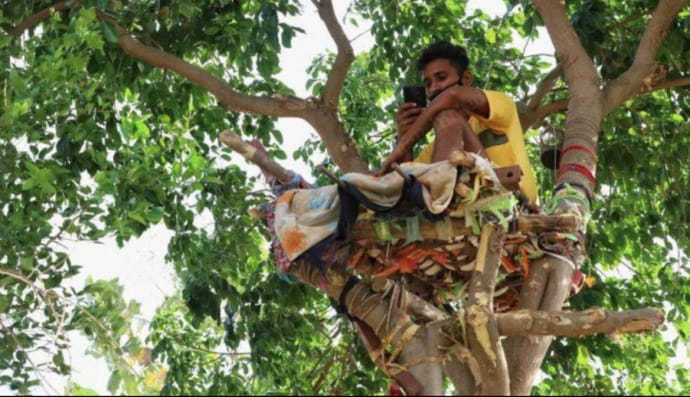 Індієць упродовж 11 днів жив на дереві