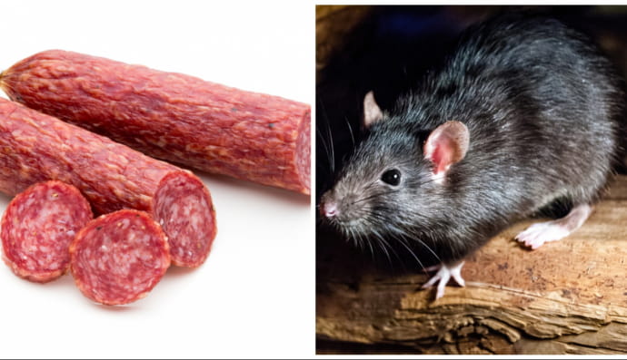 Ковбаса та щур