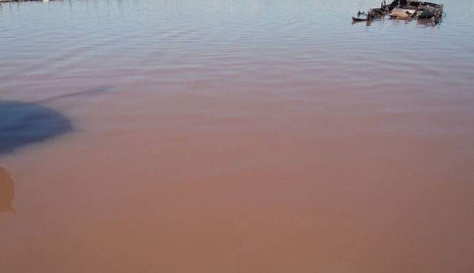Цвітіння води Куяльницького лиману, викликане водоростями Dunaliella salina