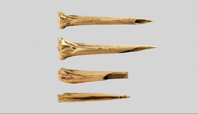 Найдавніші інструменти для татуювань 