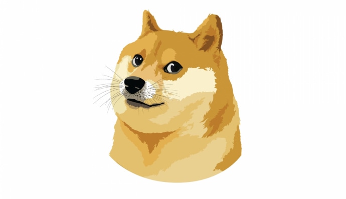 Мем Doge