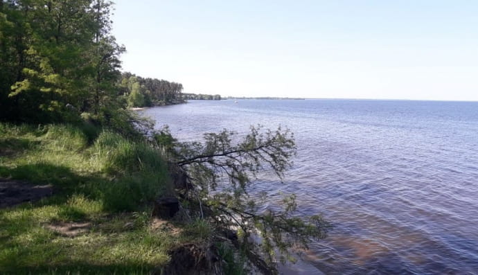 Київське водосховище