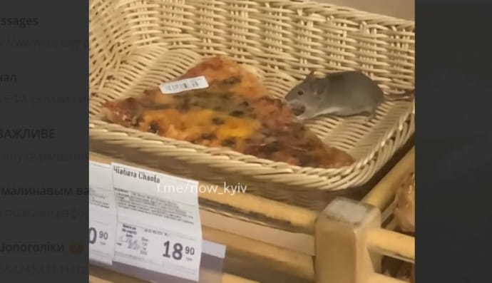 Миша в магазині