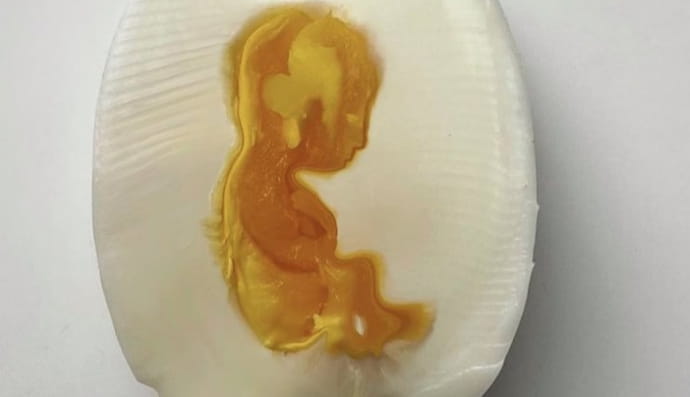 моторошні ілюзії, які змусять вас повірити у свою реальність