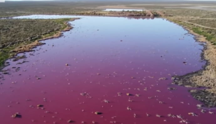 Лагуна в Аргентині