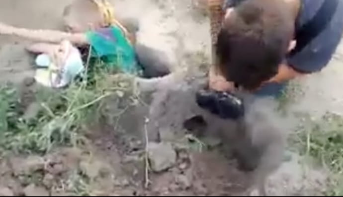 Мальчик застрял в собачьей норе