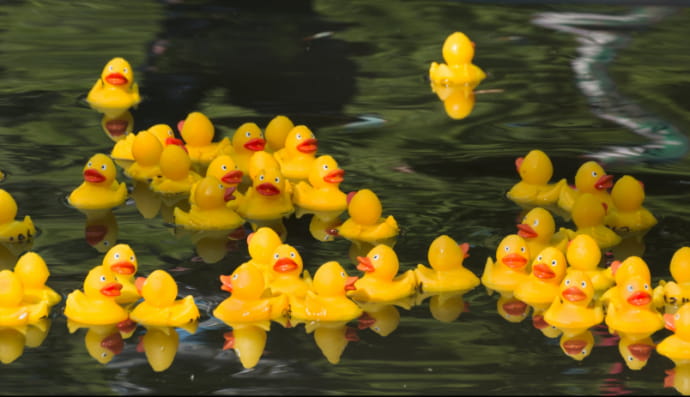 Гумові качки