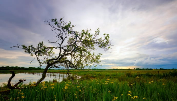 Графство Роскоммон (Західна Ірландія) 
