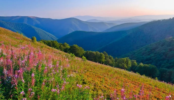 Природа України