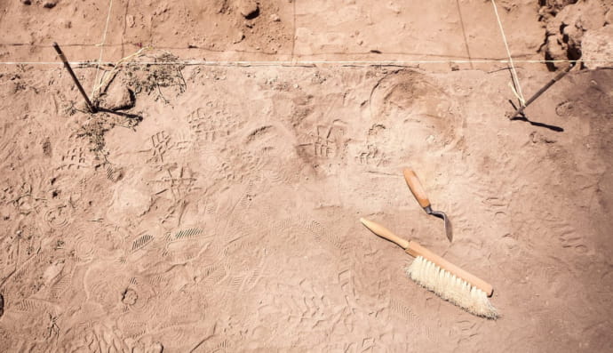 Археологічні знаряддя біля місця розкопок