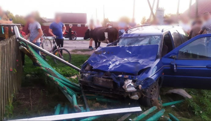 На рівненщині п'яний соловік збив 6 корів