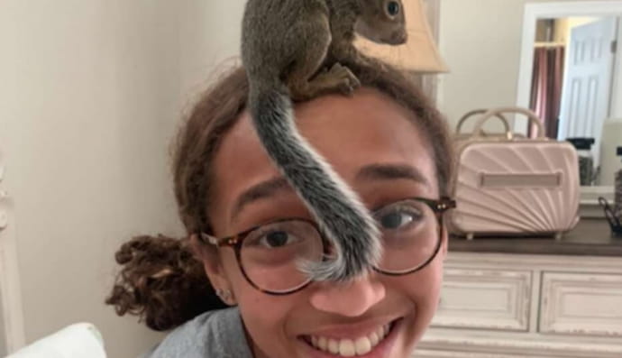 Врятовані білченята під час урагану 