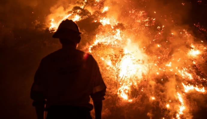 Лесной пожар