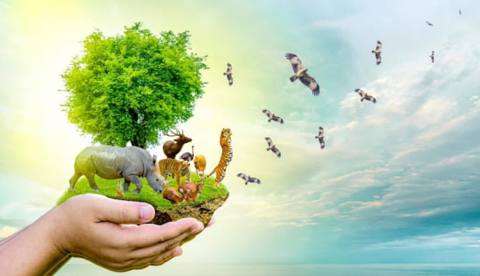 Мир животных