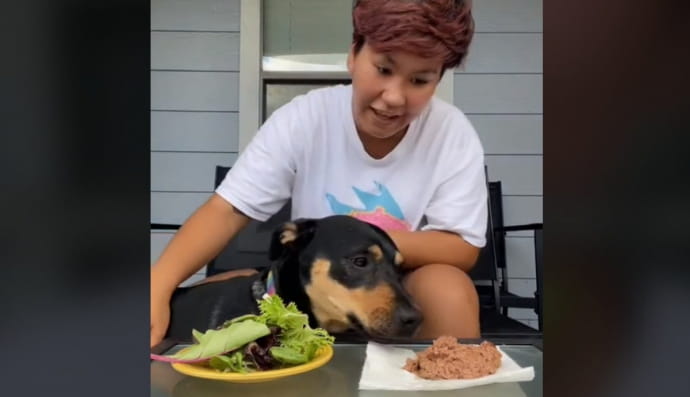 Блогерка Арія та її собака