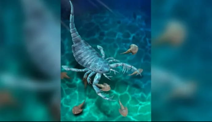 Terropterus xiushanensis 