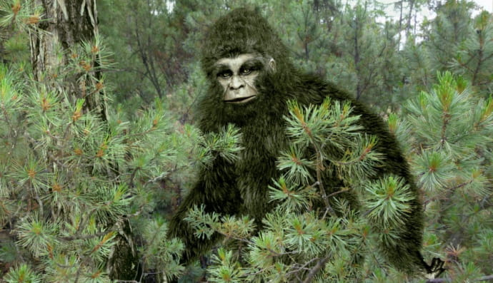 Снежный человек