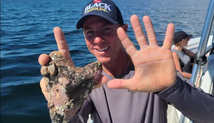 Зуб мегалодона