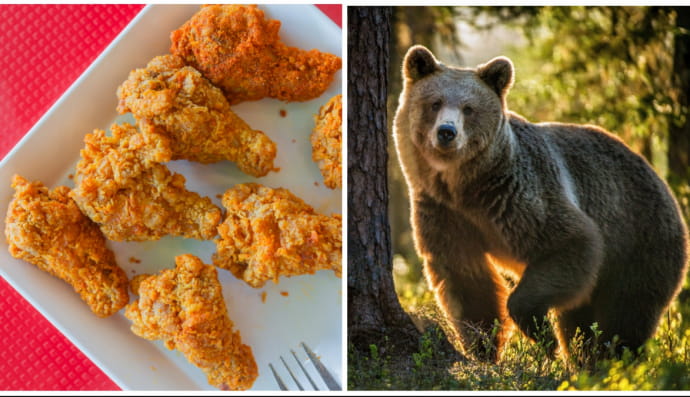 Смажена курка та ведмідь