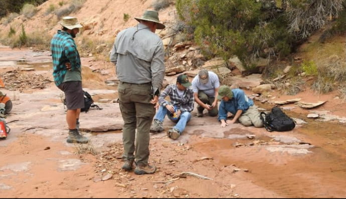 Розкопки у національному парку Каньйонлендс (штаті Юта) 