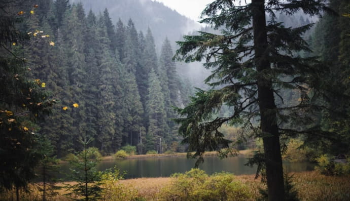 Фотографії України