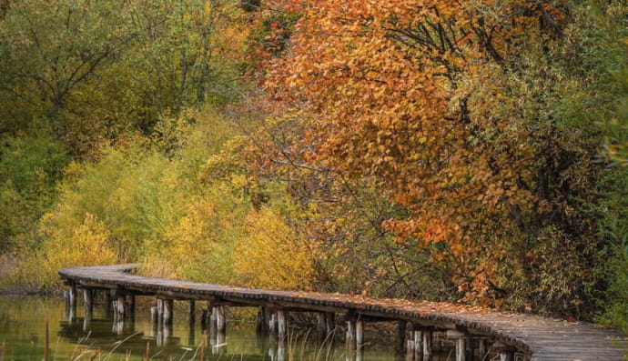 удивительные осенние пейзажи Хорватии