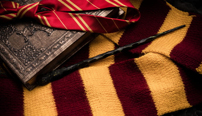 Гарри Поттер