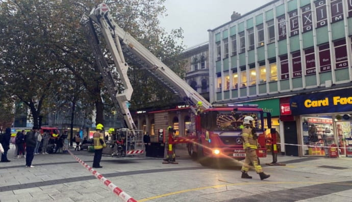 Спасение голубя