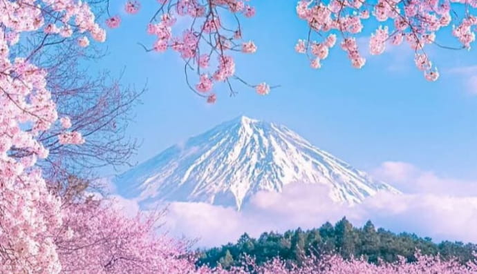 Удивительные явления нашего мира и его обитателей