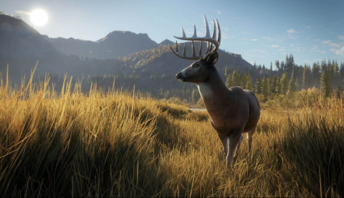 theHunter: Call of the Wild