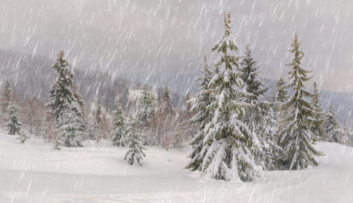 Сніг у горах