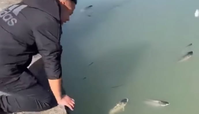 Рибалка та риби у місті Шаосін 