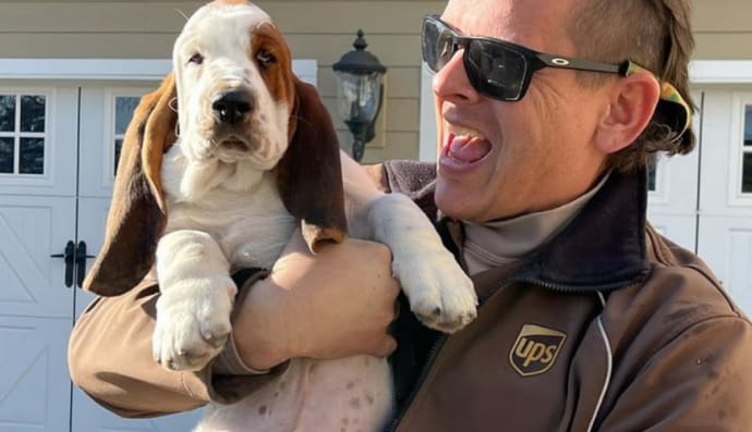 Поштарі та песики