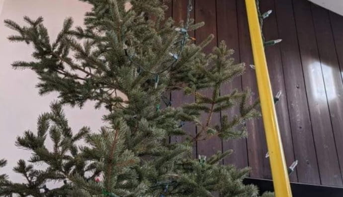 10 новорічних лайфхаків, які значно полегшують життя