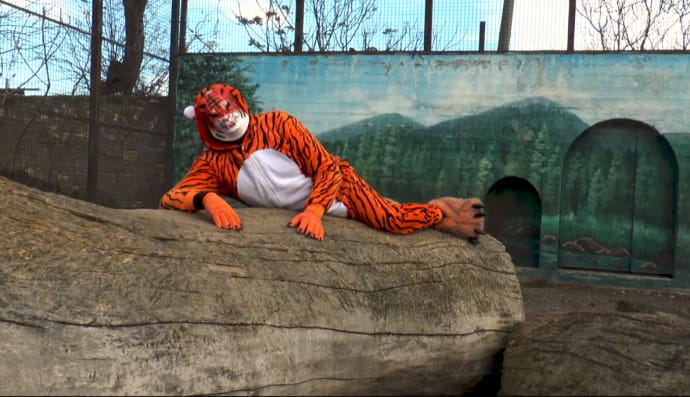 Ігор Бєляков у ролі тигра