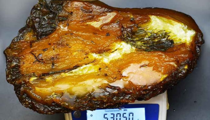 Камінь бурштину