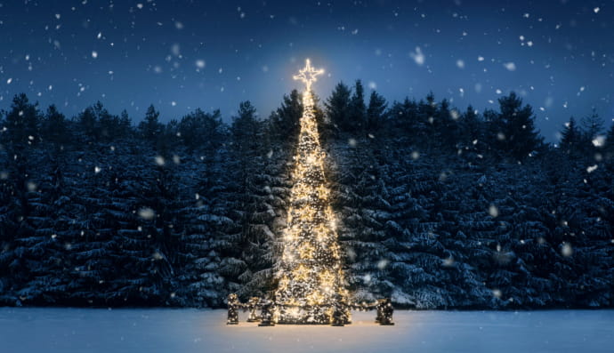 Ялинка у лісі