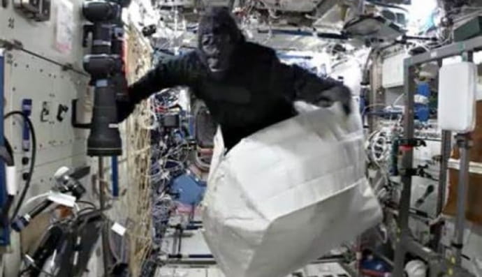 Горила у космосі