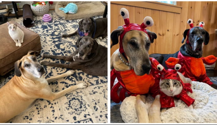 Линкольн и его "банда"