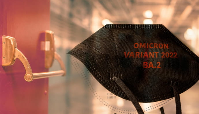 Омикрон ВА.2