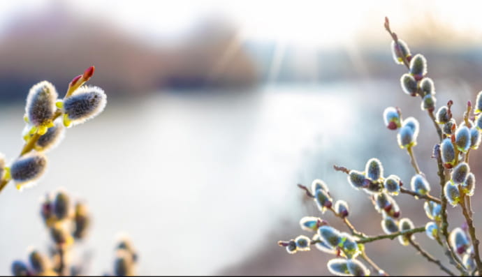 Рання весна