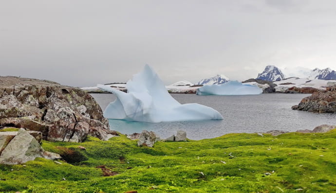 Рекордна температура в Антарктиді 