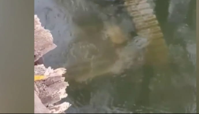 Танк російських окупантів курйозно втопився на мілині 