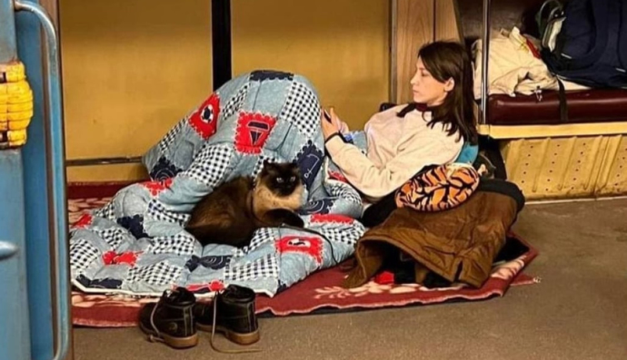 Тварини у бомбосховищах 