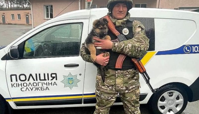 Щенок Байрактор