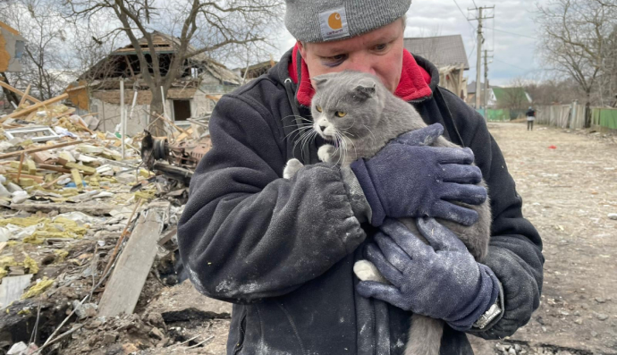 Человеческая трагедия