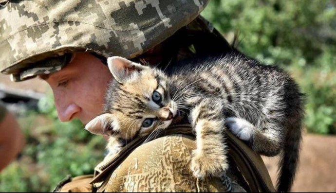 Спасенные животные