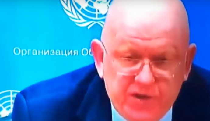 Василий Небензя